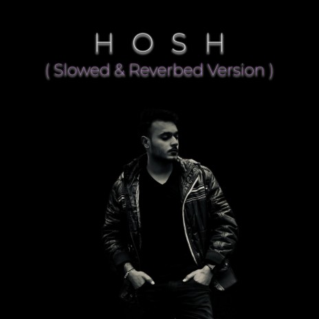 Hosh (Slowed+Reverbed) ft. Satyam Shady | Boomplay Music