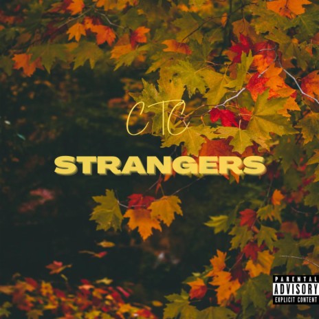 Strangers | Boomplay Music