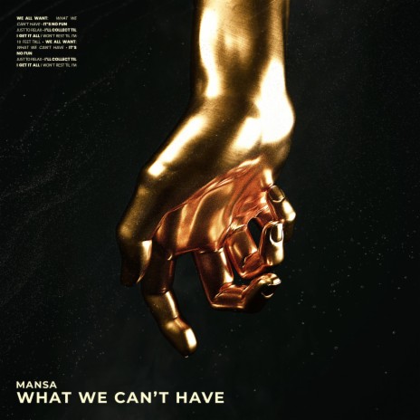 What We Can't Have | Boomplay Music