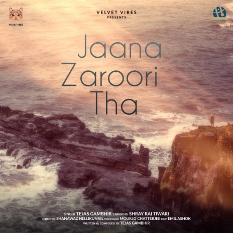 Jaana Zaroori Tha