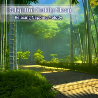 Relaxing Napping Melody