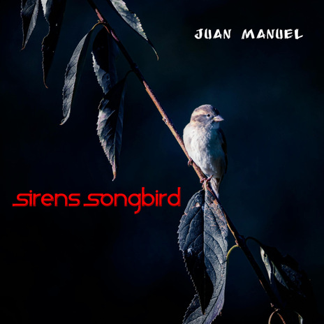 Sirens Songbird | Boomplay Music