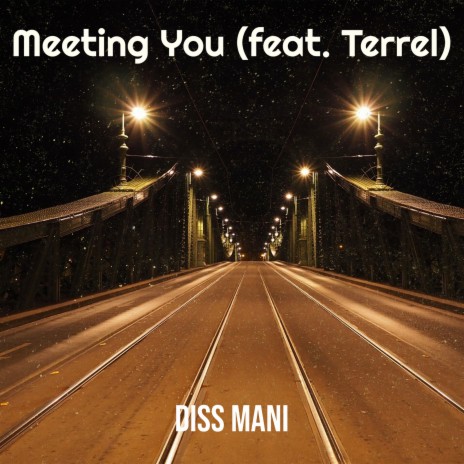 Meeting You ft. Terrel | Boomplay Music