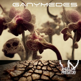 Ganymedes