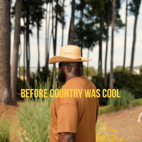 Before Country Was Cool | Boomplay Music