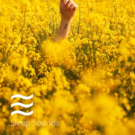 Sound for Sleep and Rest Looped | Boomplay Music