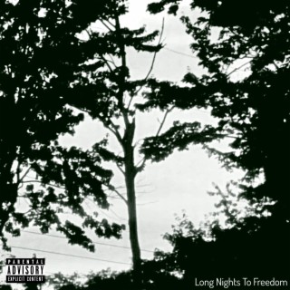 Long Nights To Freedom