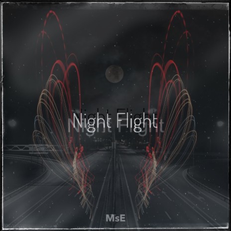 Night Flight | Boomplay Music