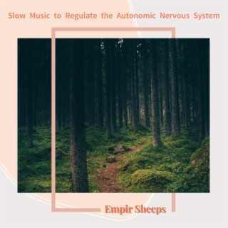 Slow Music to Regulate the Autonomic Nervous System