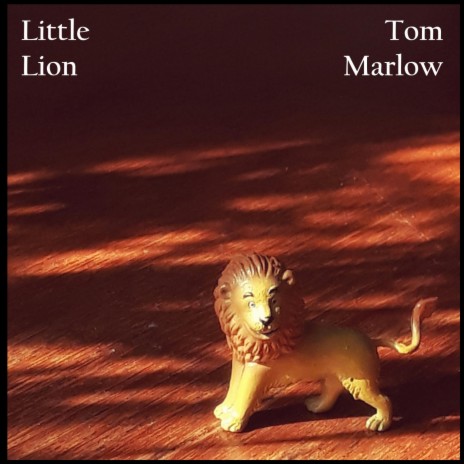 Little Lion | Boomplay Music