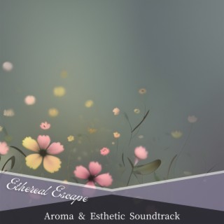 Aroma & Esthetic Soundtrack