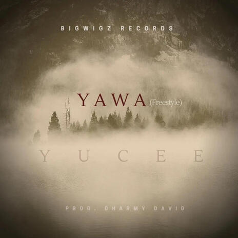 Yawa (Freestyle) | Boomplay Music