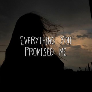 Everything You Promised Me