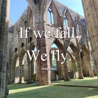 If we fall, we fly