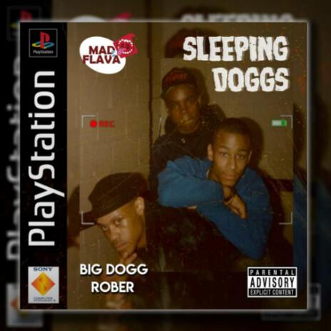 Sleeping DogZzz ft. Rober Il Direttore | Boomplay Music