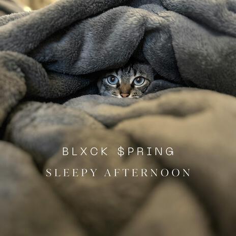 Sleepy Afternoon | Boomplay Music