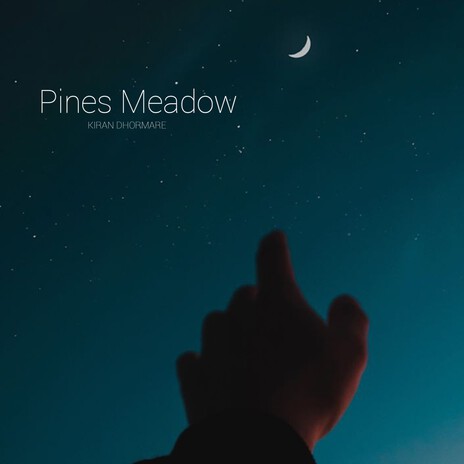 Pines Meadow | Boomplay Music