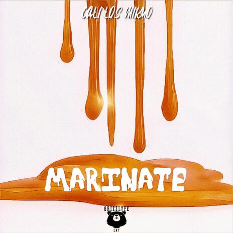 Marinate | Boomplay Music