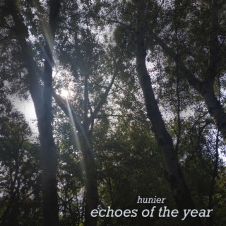 Echoes of the Year