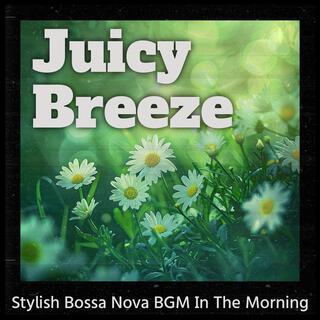 Stylish Bossa Nova Bgm in the Morning