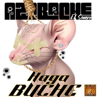 haga buche