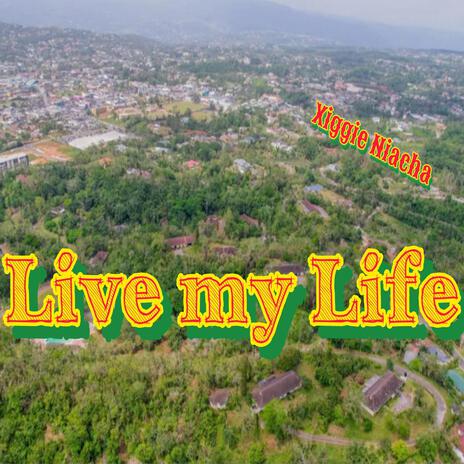 Live my Life | Boomplay Music