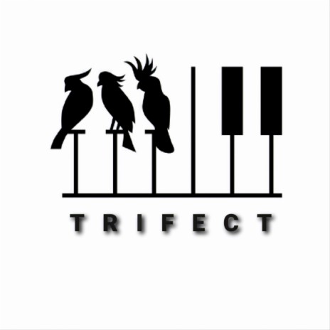 Three little birds | Boomplay Music