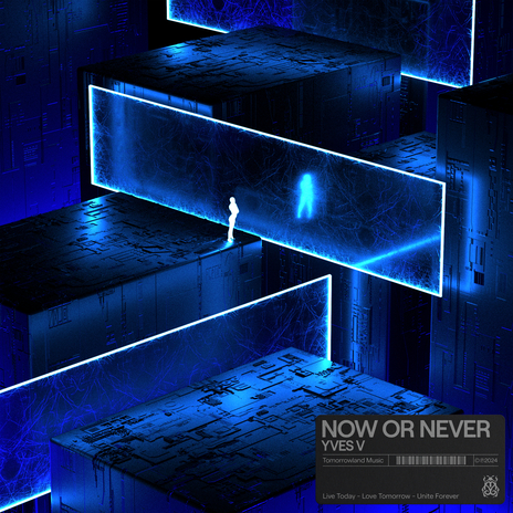 Now Or Never ft. Moa Lisa | Boomplay Music