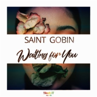 Saint Gobin