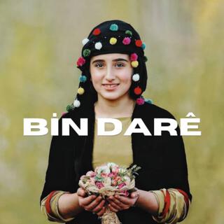 Bin Dare (Kurdish Trap) lyrics | Boomplay Music