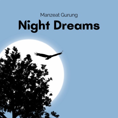 Night Dreams | Boomplay Music