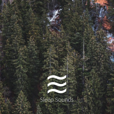 Hum Sound for Sleep Looped