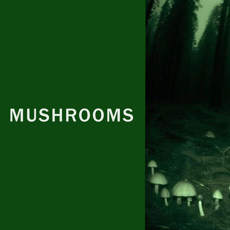 Mushrooms | Boomplay Music