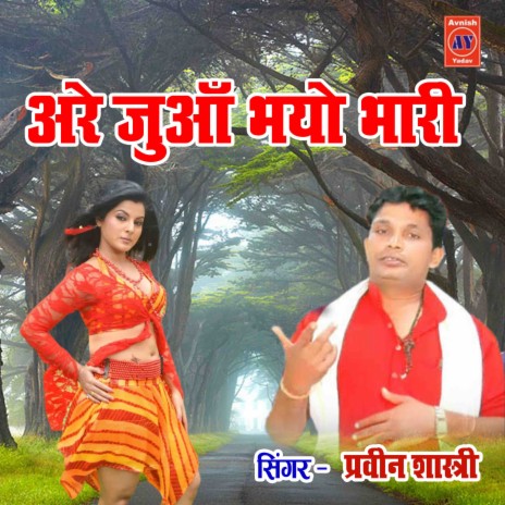 Are Junwa Bhayo Bhaari | Boomplay Music