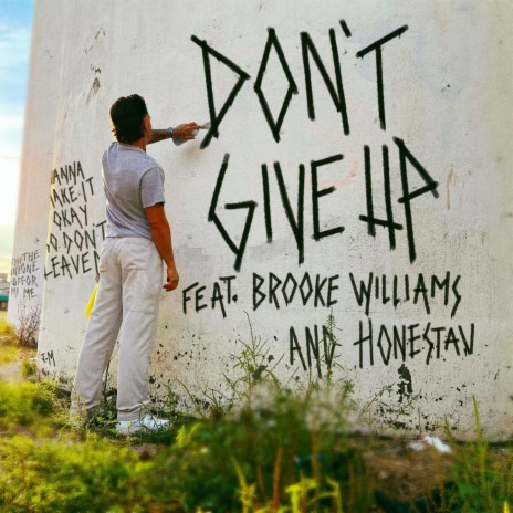 don't give up ft. Brooke Williams & Honestav | Boomplay Music