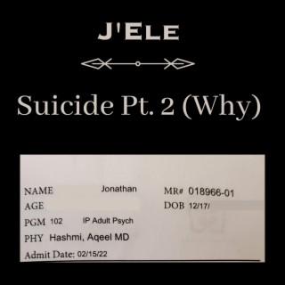 Suicide, Pt. 2 (Why)