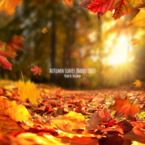Autumn Leaves (Radio Edit) | Boomplay Music