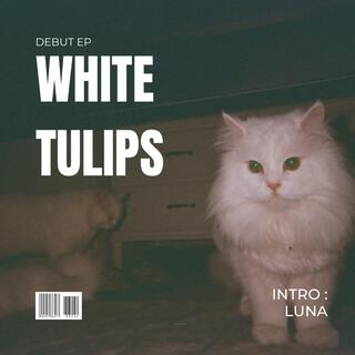 Intro : Luna (Demo) lyrics | Boomplay Music