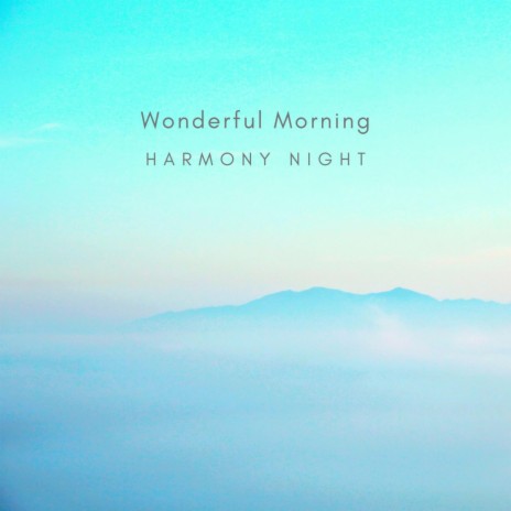 Wonderful Morning | Boomplay Music