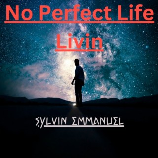 No Perfect Life Livin