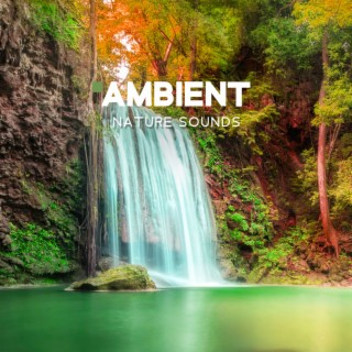 Ambient Nature Sounds - (Sea Music, Power of Water, Rain and Thunderstorm, Flow River, Waterfall & Underwater Ambiance, Birds, Crickets, Forest)