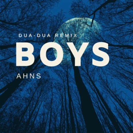 Boys (Dua-Dua Remix) | Boomplay Music