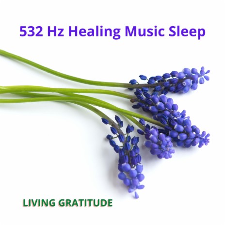 532 Hz Healing Music Sleep | Boomplay Music
