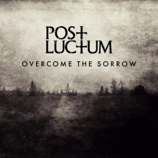 Overcome the Sorrow lyrics | Boomplay Music
