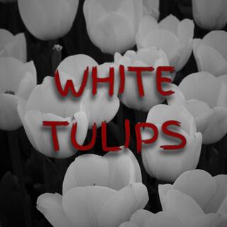 White Tulips