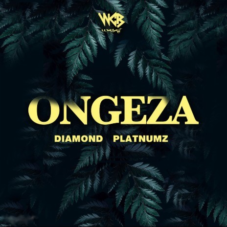 Ongeza | Boomplay Music