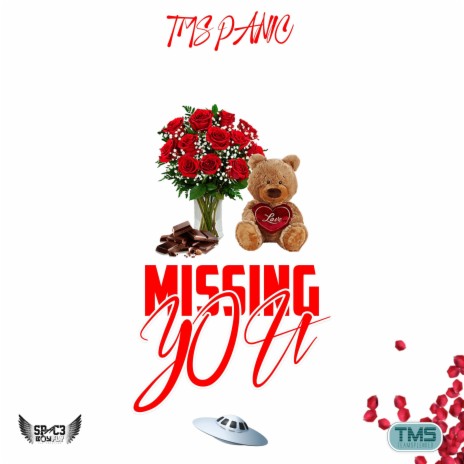 Missing You ft. TMS Panic | Boomplay Music