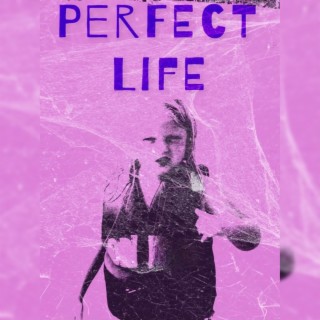 Perfect Life lyrics | Boomplay Music