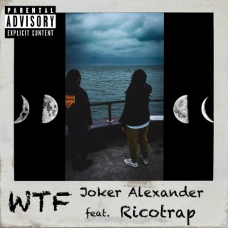 WTF ft. Ricotrap lyrics | Boomplay Music