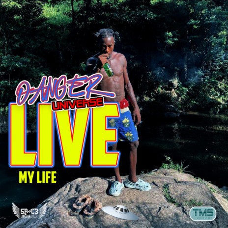 Live my life (Live) ft. Danger Universe | Boomplay Music